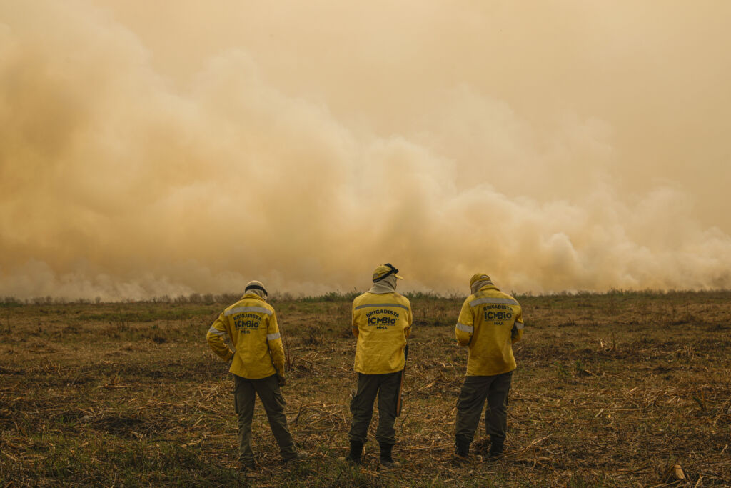 servidores do ibama e ICMBio combatem incêncio no pantanal