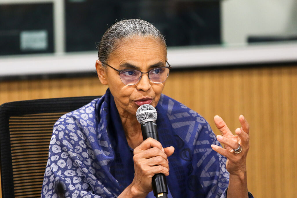 servidores desmatamento zero marina silva