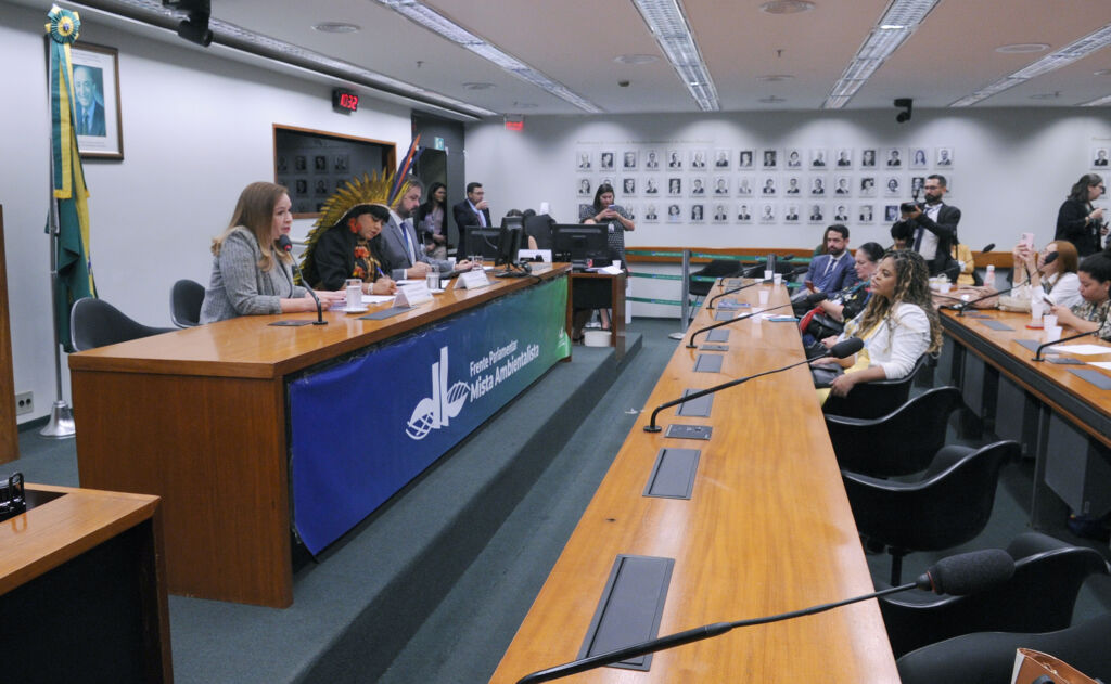 ambientalista frente parlamentar mista camara deputados