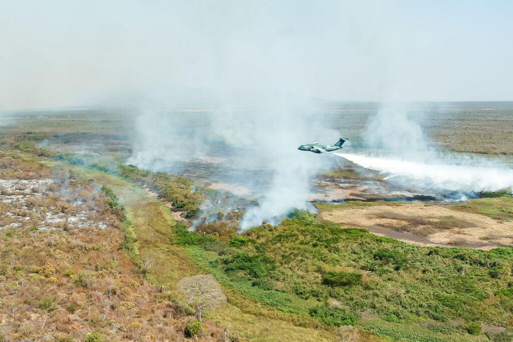pecuária queimada mato grosso