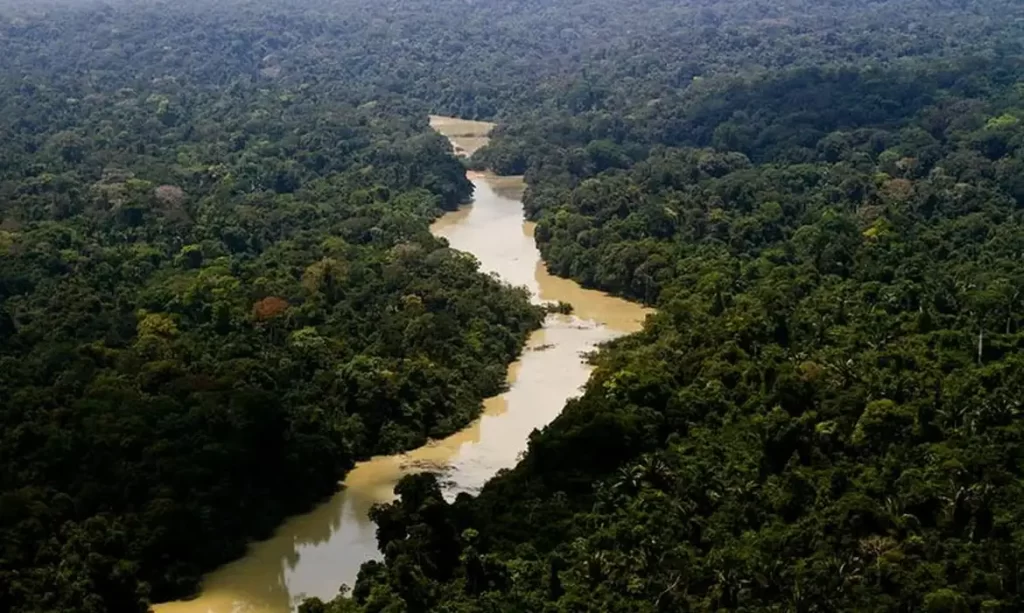Dia da Amazônia (Foto: Leonardo Milano/ICMBio)