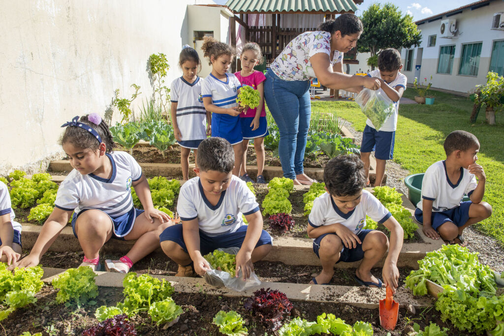 Crianças contribuem no cultivo da horta em CMEI de Palmas (Foto Lia Mara/Secom Palmas)
