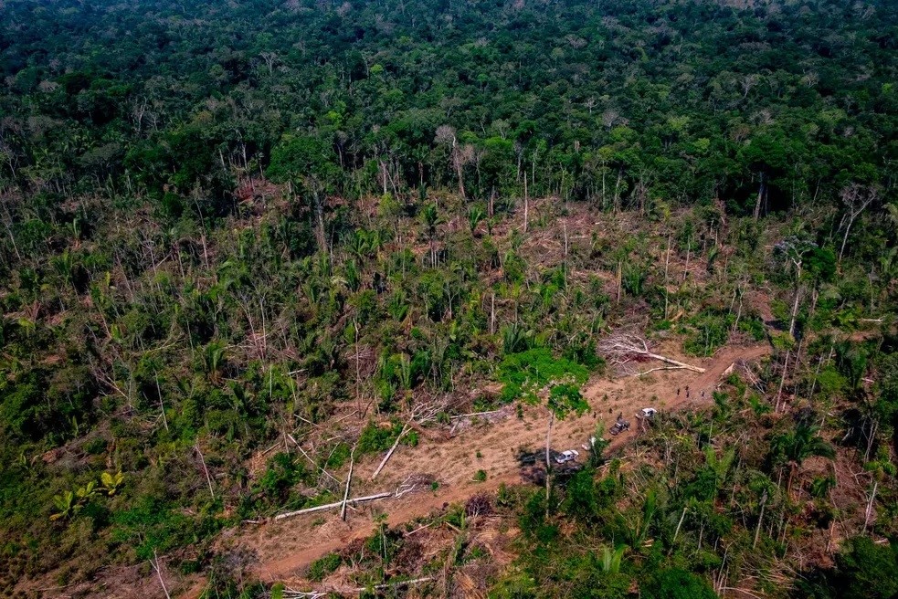 mato grosso projeto cerrado amazônia